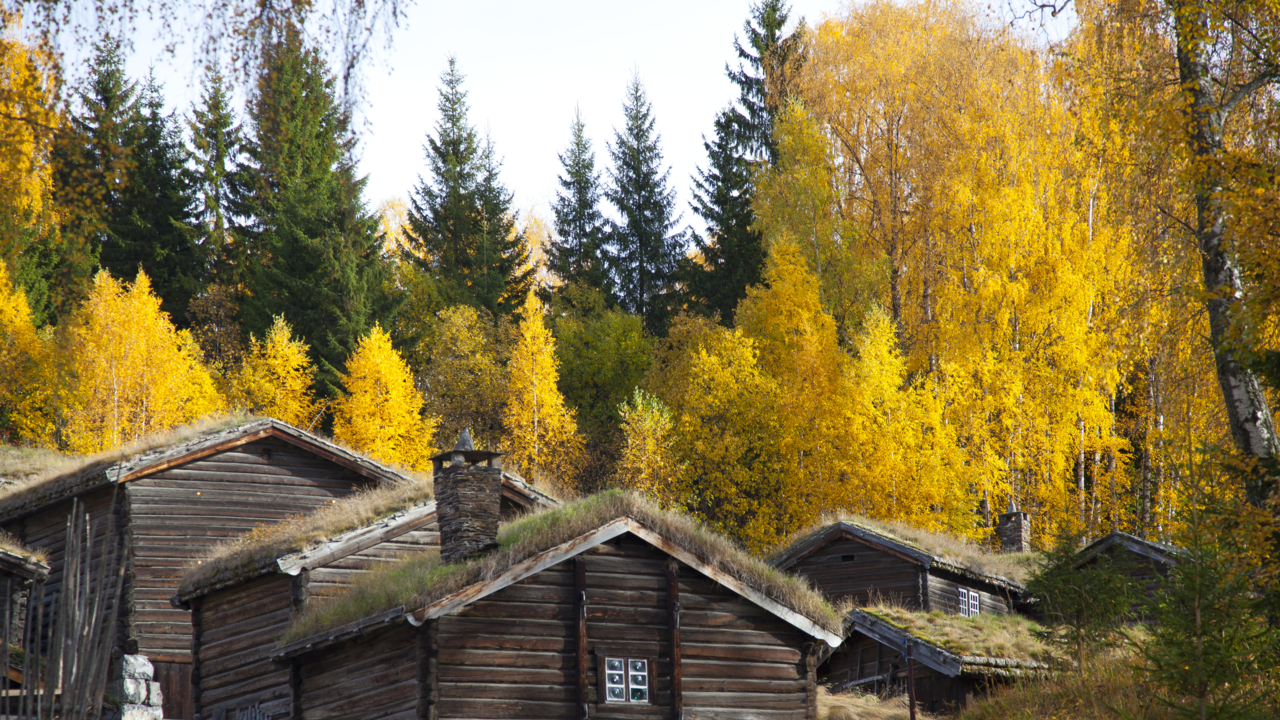 Høst_Øygarden_Audbjørn_Rønning